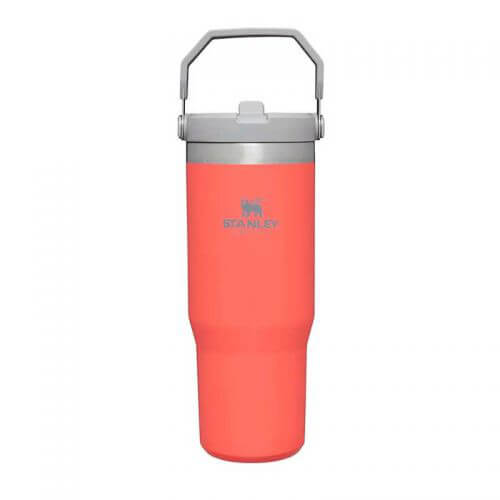 Garrafa térmica com palhinha Classic Iceflow 890 ml Vermelho Goi...