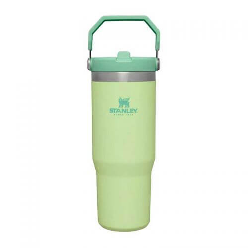Garrafa térmica com palhinha Classic Iceflow 890 ml Verde Cedro