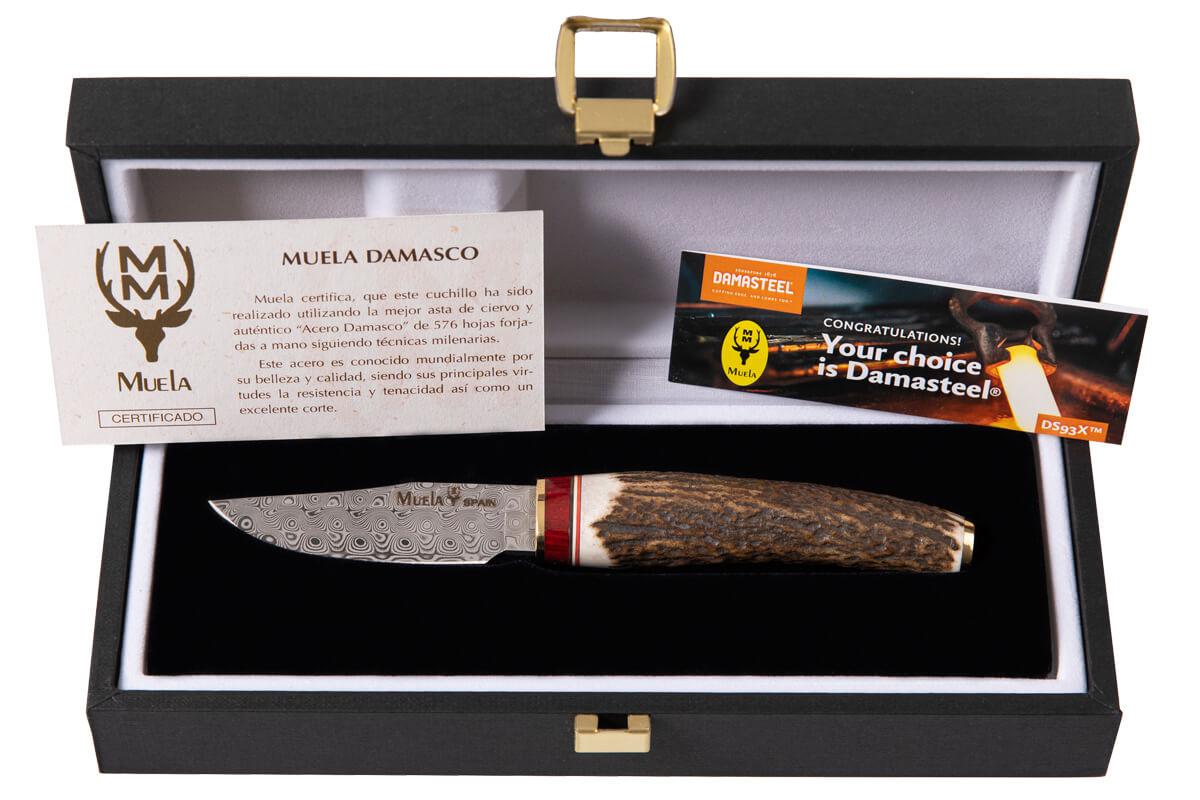 Cuchillo de lujo Muela Bowie 6 con hoja de acero damasco de 7.5 cm y virola de madera roja