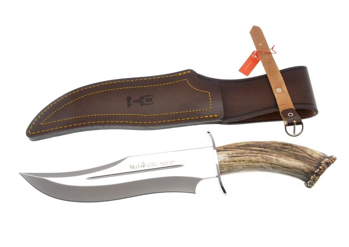 Muela Lobo23S un cuchillo de caza con mango de asta de ciervo con roseta