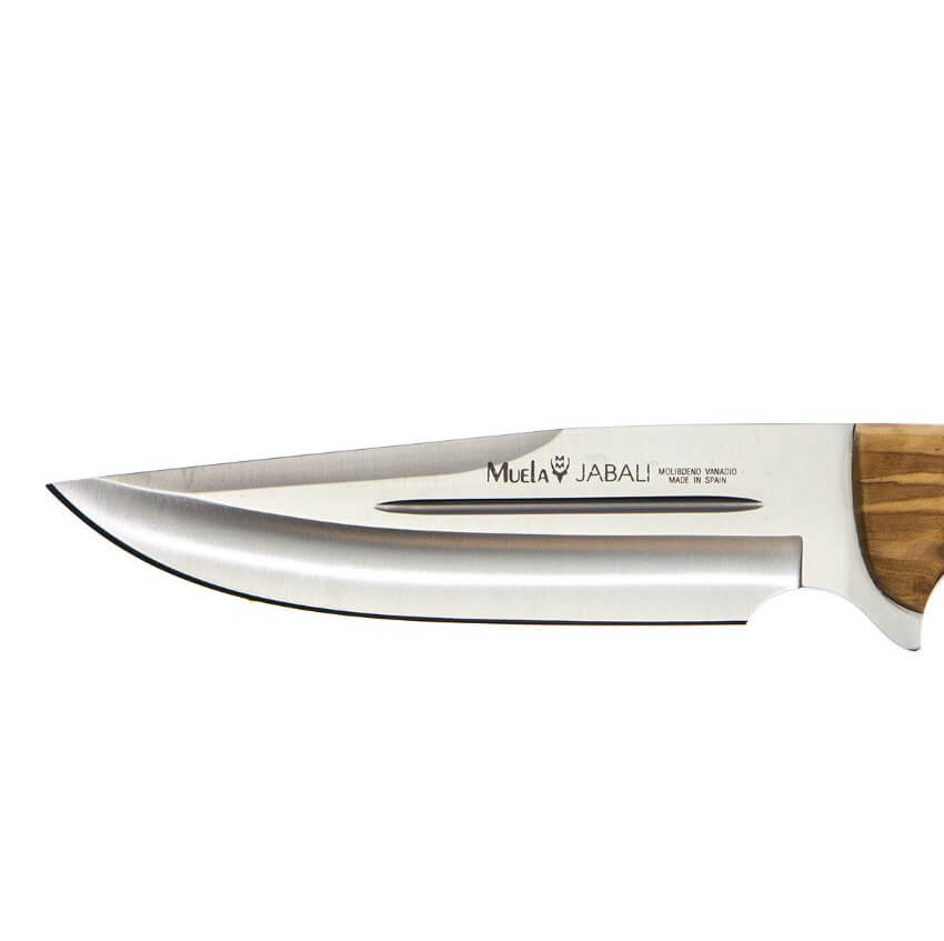 Cuchillo de caza Muela Jabali con mango de madera de olivo y hoja de acero Molibdeno Vanadio de 17 cm
