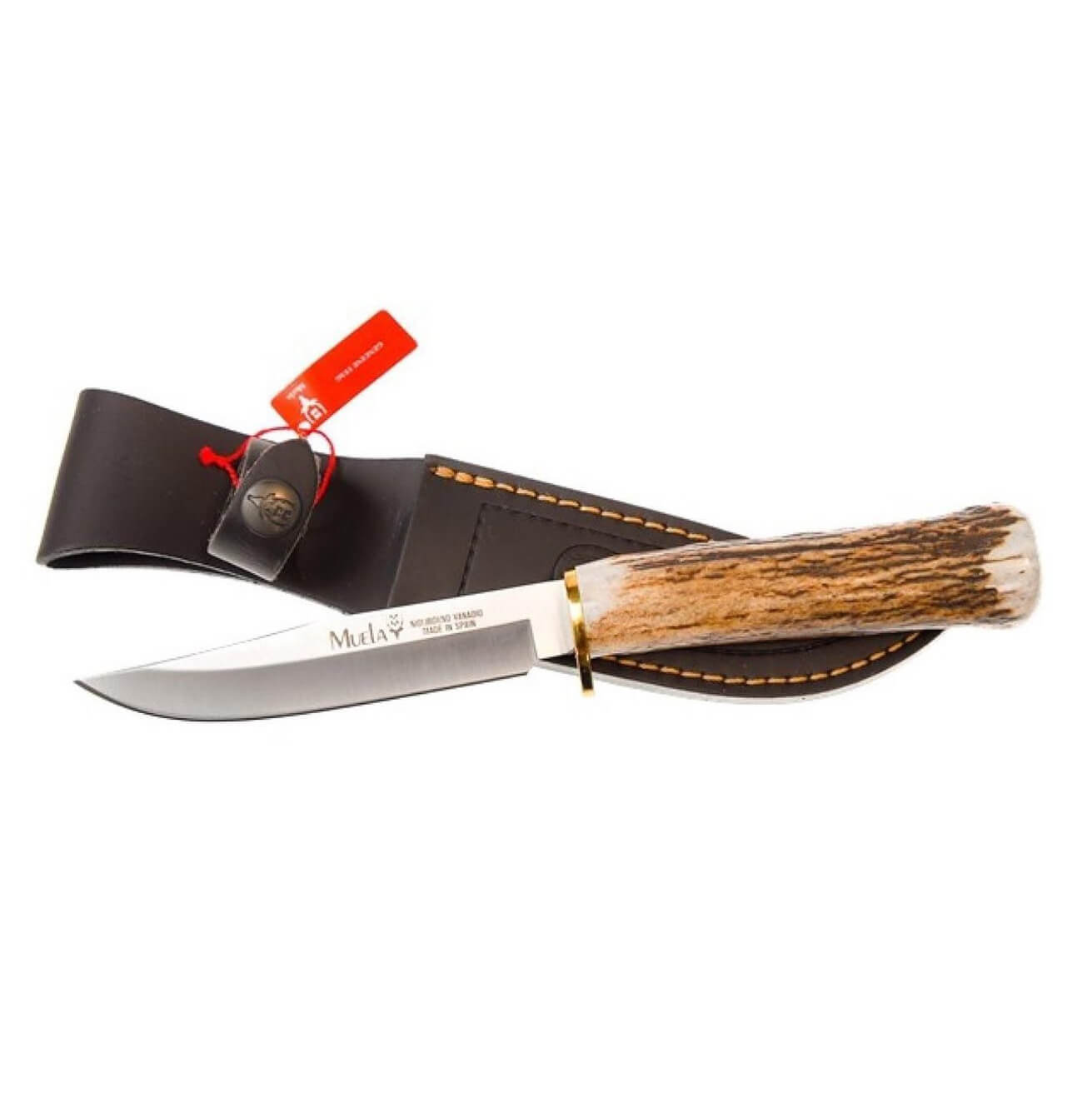 Cuchillo de caza Muela Gred-12A con mango de asta de ciervo y hoj...
