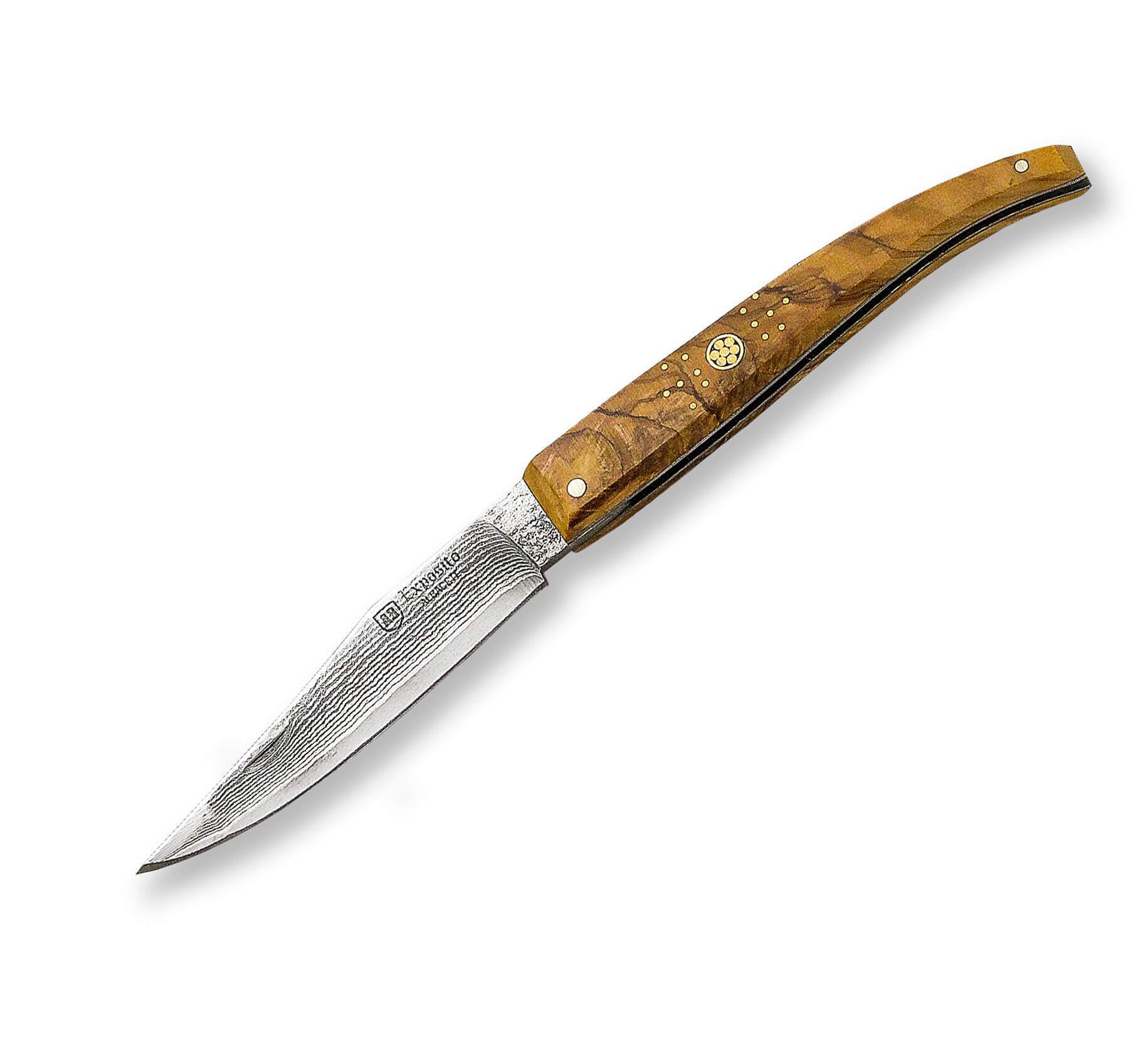 19-SVD-501-O