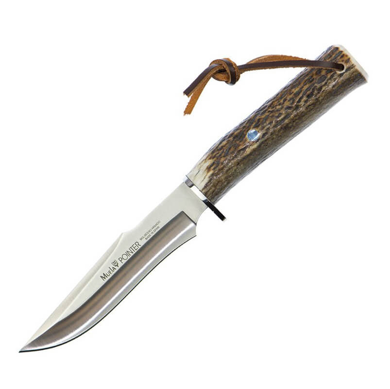 Cuchillo de caza Muela Pointer 13A con mango de asta de ciervo y ...