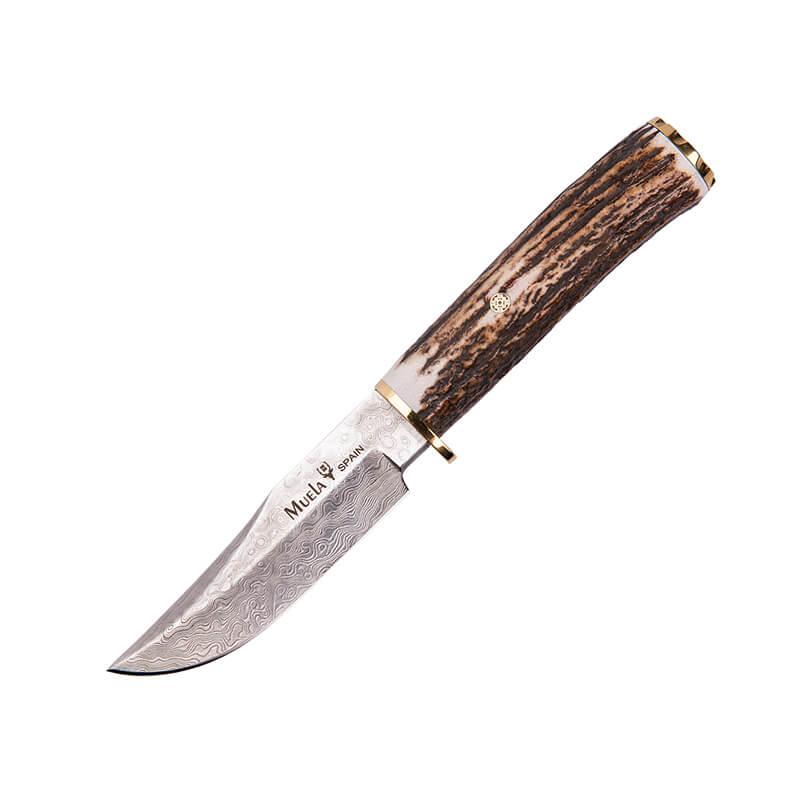 Cuchillo de lujo Braco con hoja de acero damasco con mango de ast...