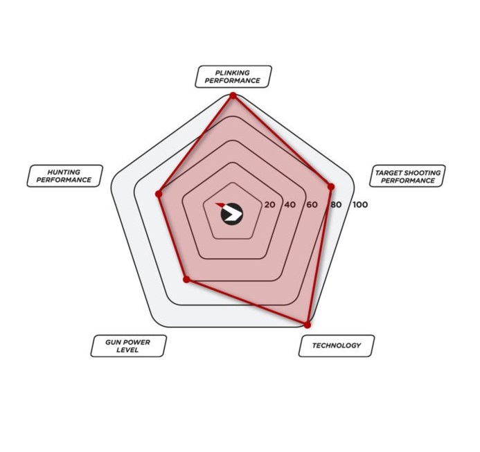 Fucile ad aria compressa Gamo Roadster IGT 10X GEN2 calibro 5,5 mm