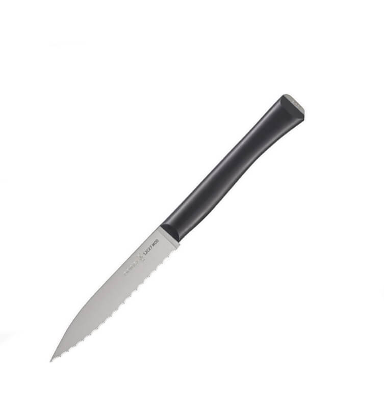 Gezacktes Messer Opinel Intempora Nº 226