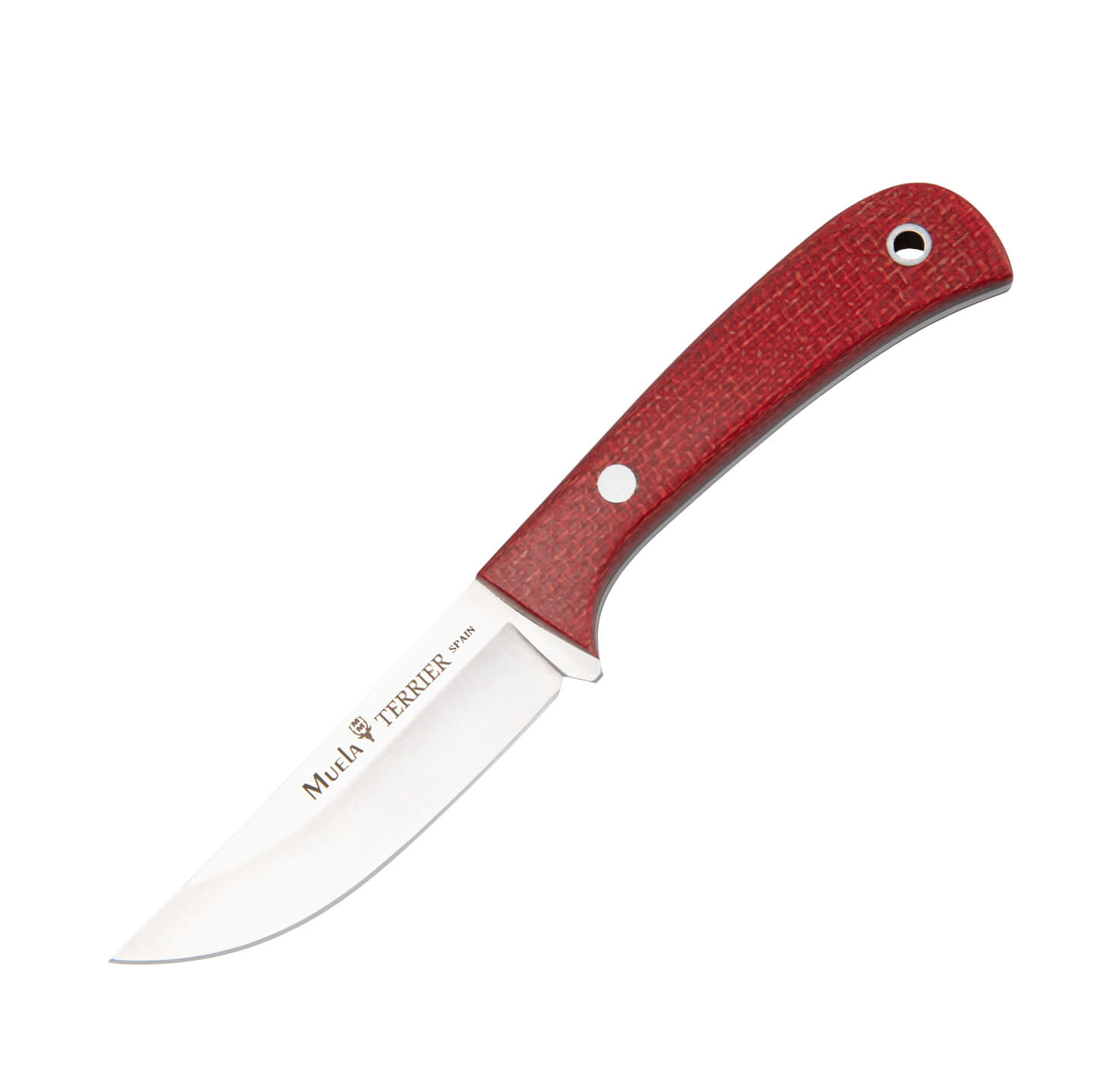 Muela Terrier-Messer mit Himbeer-Micarta-Griff und Lederscheide
