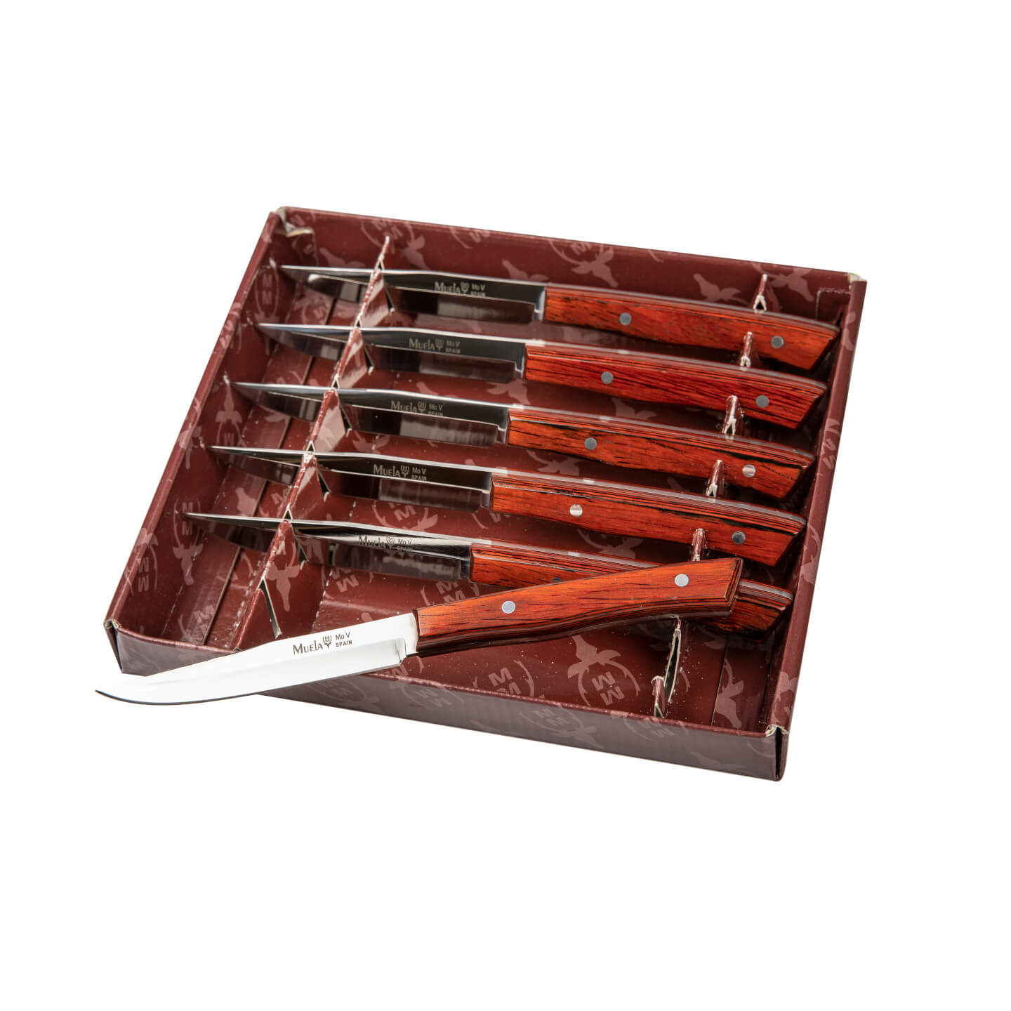 Tafelmesser Muela J-MA-10R mit korallengepresstem Holzgriff, 6-te...