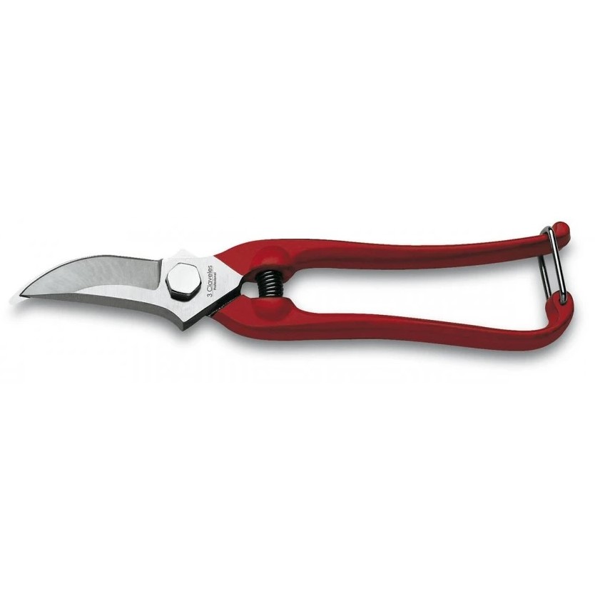 Ciseaux de récolte et de jardin 18 cm 3 Claveles