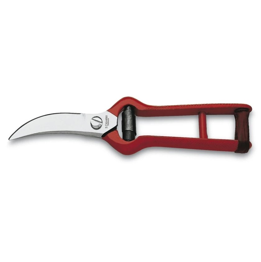 Ciseaux à ail 20 cm avec manche émaillé 3 Claveles