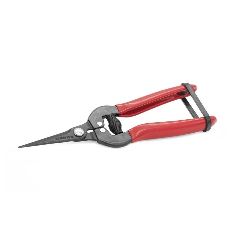 Ciseaux de nettoyage de raisin agricole 19 cm 3 Claveles