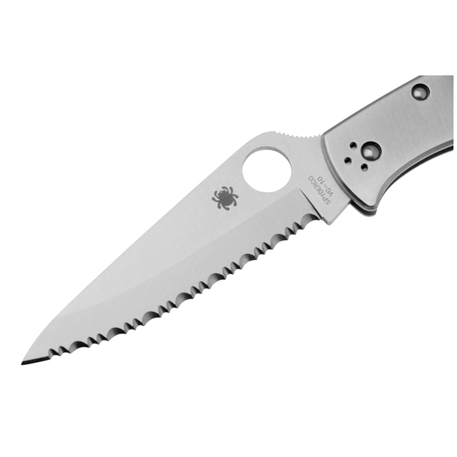 Couteau Spyderco Endura 4 en acier inoxydable C10S, avec lame dentelée en VG10 et manche en acier inoxydable.