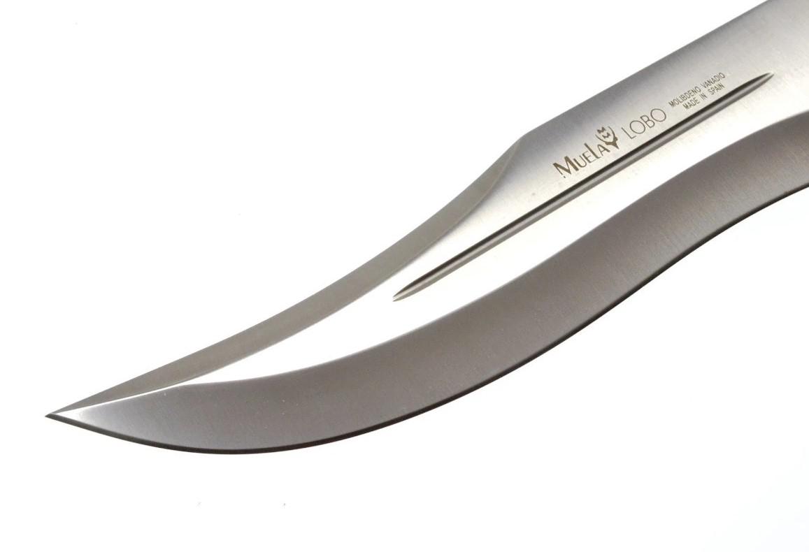 Muela Lobo23S uma faca de caça com cabo de chifre de veado com roseta