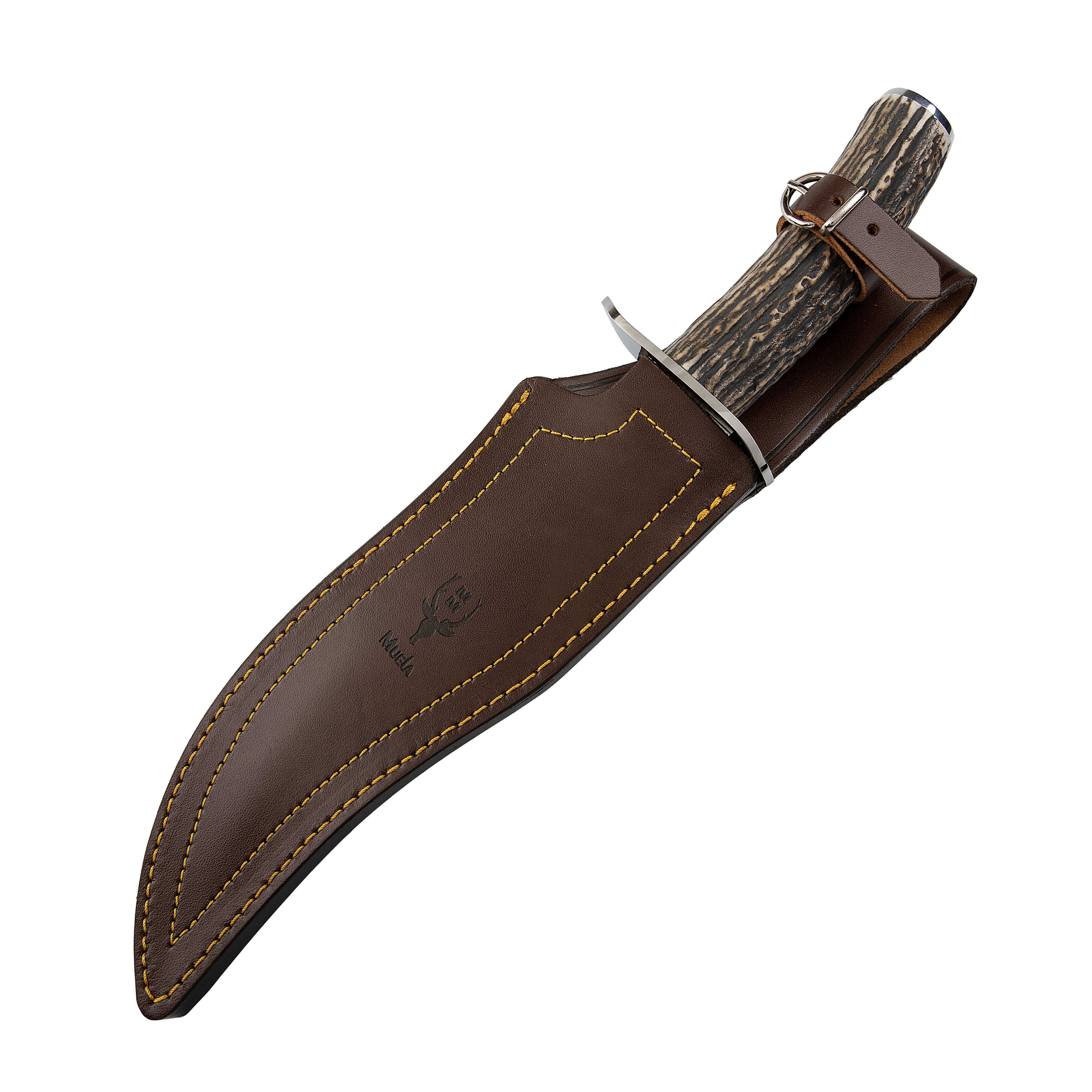 Muela Lobo23A ein Jagdmesser mit Hirschgeweihgriff und 23 cm langer Klinge