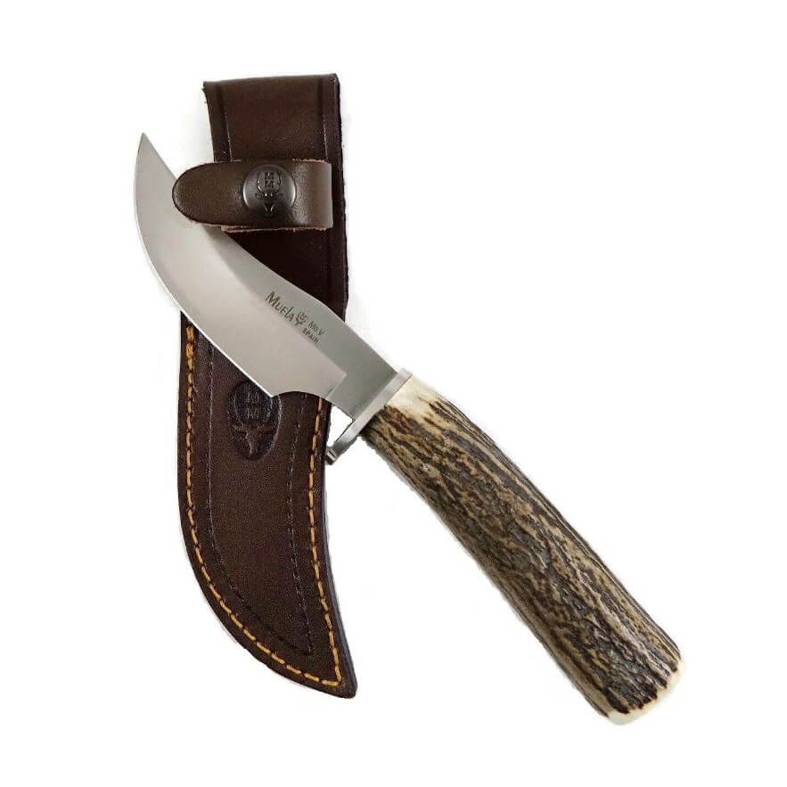 Couteau de chasse Muela DP-10A avec manche en bois de cerf et lame de 10 cm