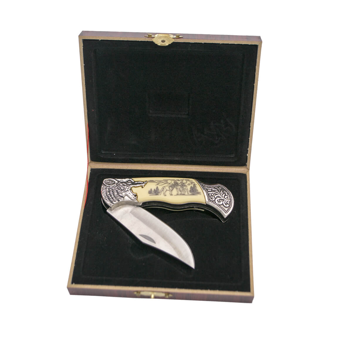 Decorative pocket knife with wolf drawing in presentation box