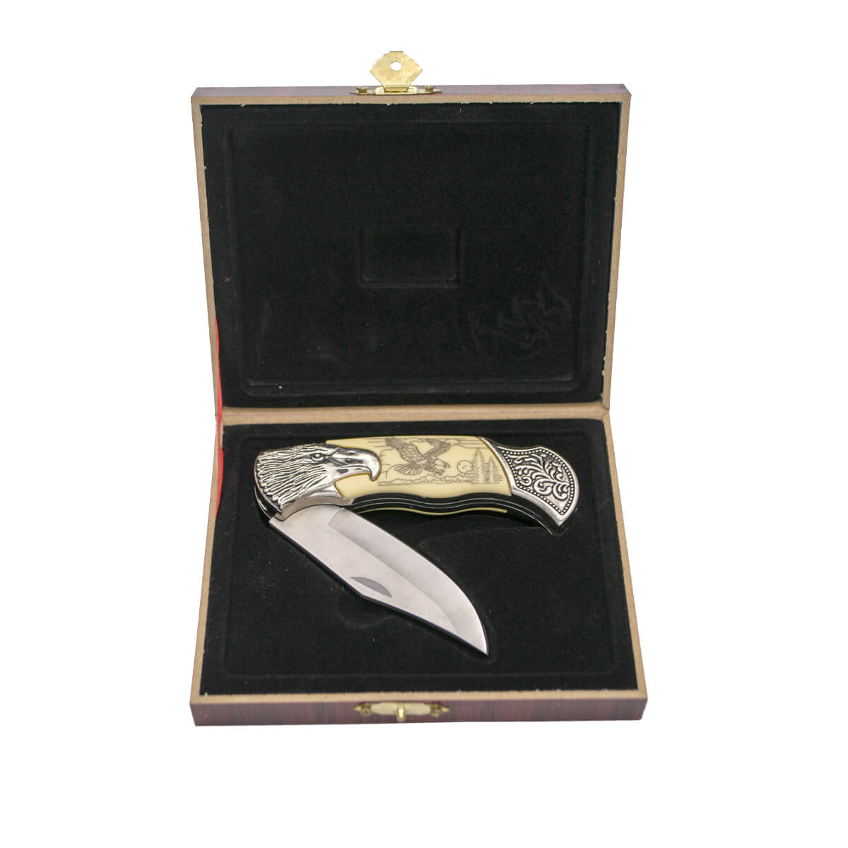 Dekoratives Klappmesser mit Adlerzeichnung in Präsentationsbox